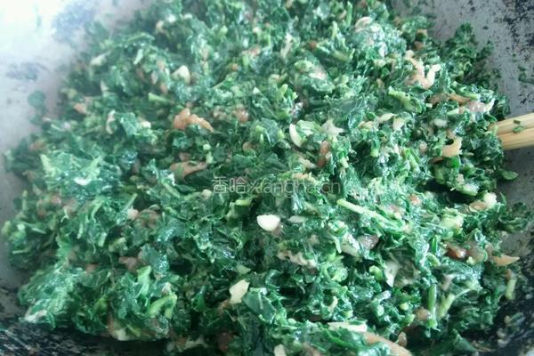 野菜饺子的做法图解3