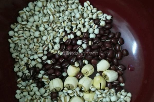 薏米红豆莲子粥的做法图解1