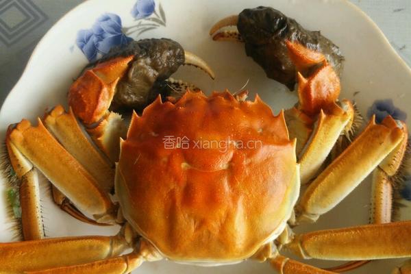清蒸螃蟹