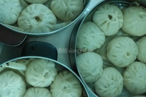 萝卜丝猪肉包的做法图解9