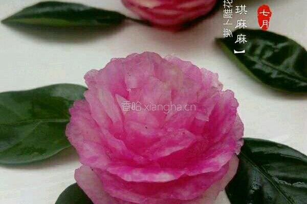 萝卜雕花的做法图解16