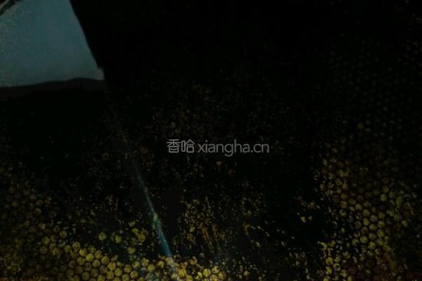 麻辣水煮牛肉的做法图解13