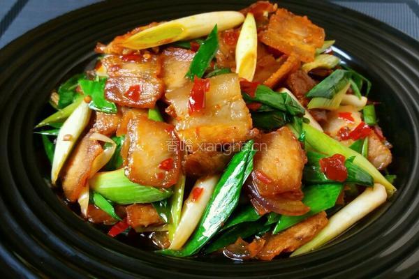 回锅肉的做法图解11