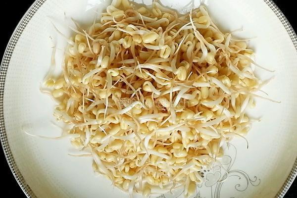 自发豆芽的做法图解7
