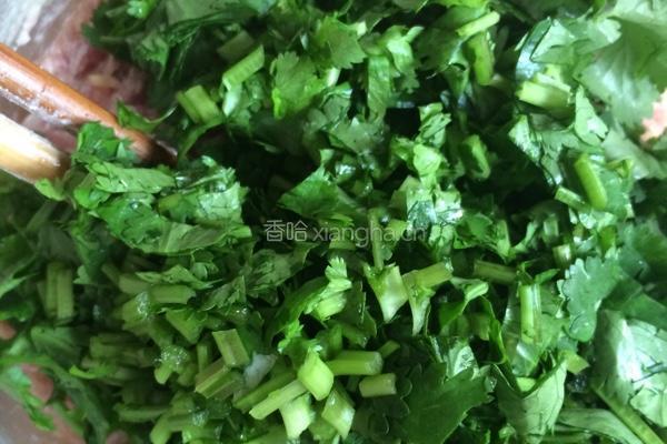 香菜水汆丸子的做法图解4