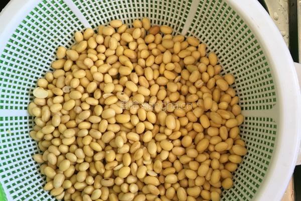 油炸小黄豆的做法图解1