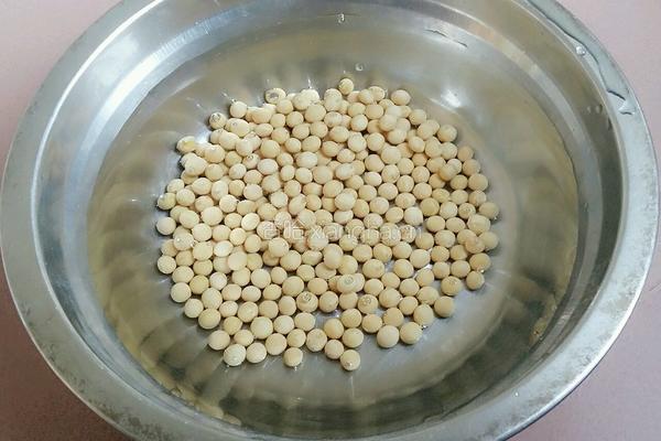 木瓜黄豆排骨汤的做法图解2