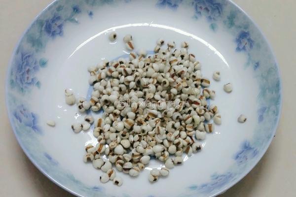 红豆薏米糖水的做法图解4