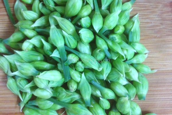 鲜鱿炒韭苔的做法图解2