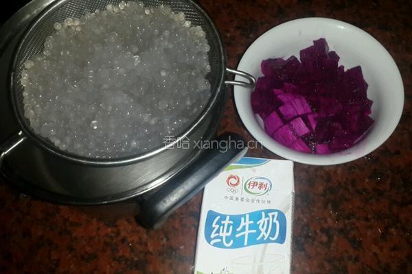 火龙果牛奶西米露的做法图解1