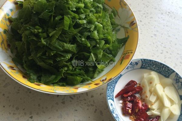 素炒瓜尖的做法图解3