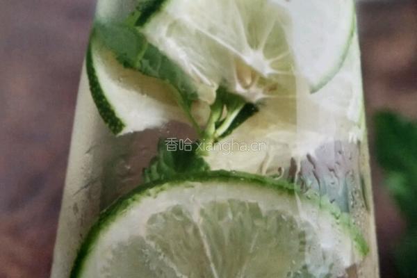 薄荷柠檬蜂蜜水的做法图解1