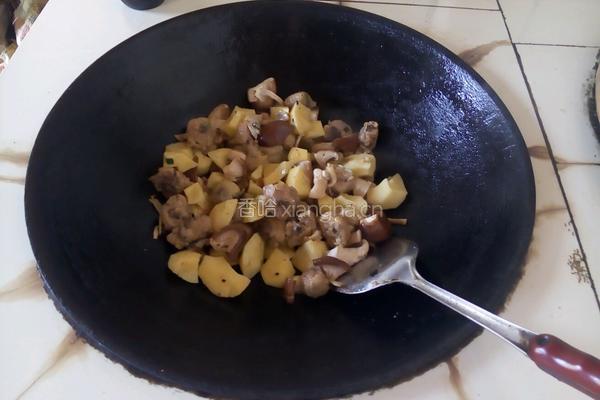土豆炖鸡肉的做法图解7