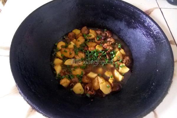 土豆炖鸡肉的做法图解8