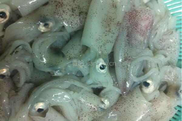 白灼鲜鱿鱼的做法图解1