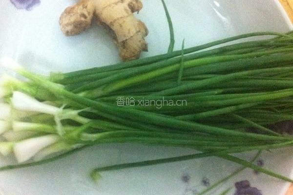 白灼鲜鱿鱼的做法图解2
