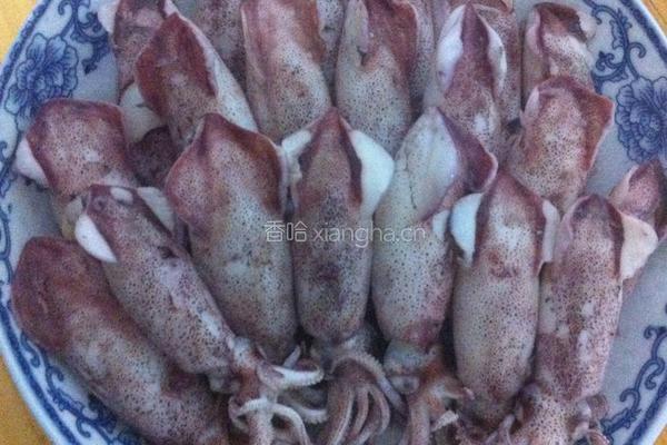 白灼鲜鱿鱼的做法图解7