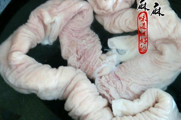 尖椒炒大肠的做法图解1