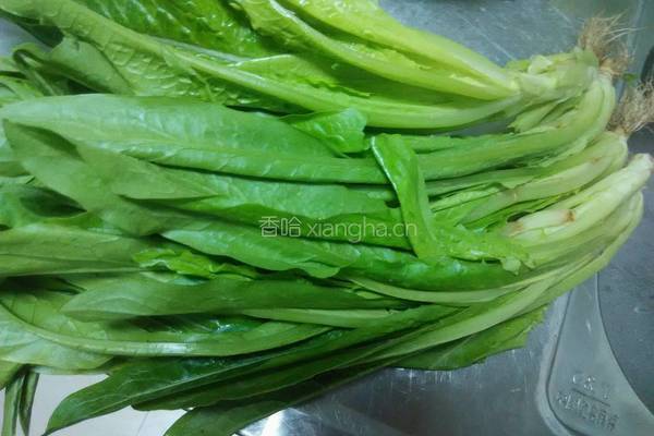 蒜蓉油麦菜的做法图解1