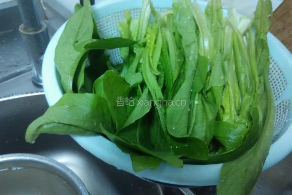 蒜蓉油麦菜的做法图解2