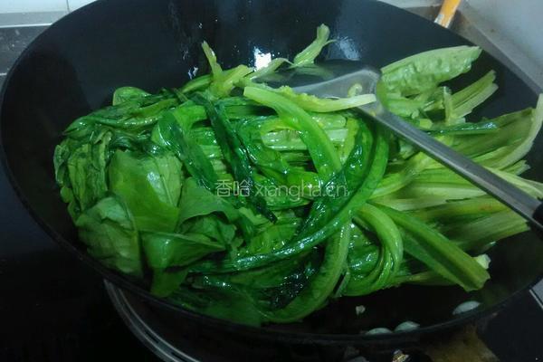 蒜蓉油麦菜的做法图解4