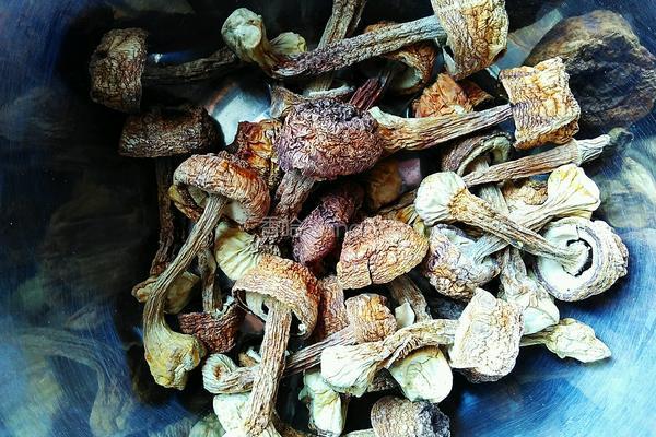 姬松茸炒肉的做法图解1