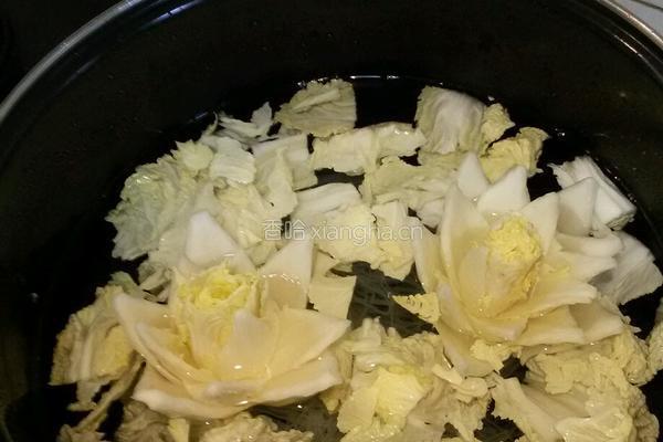 白菜莲花粉丝汤的做法图解9
