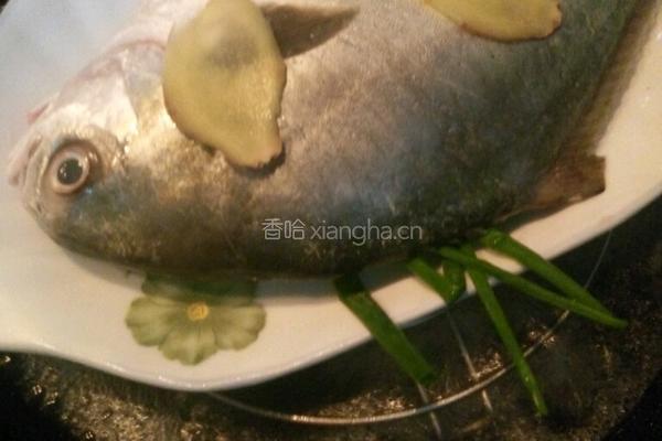 清蒸金鲳鱼的做法图解3