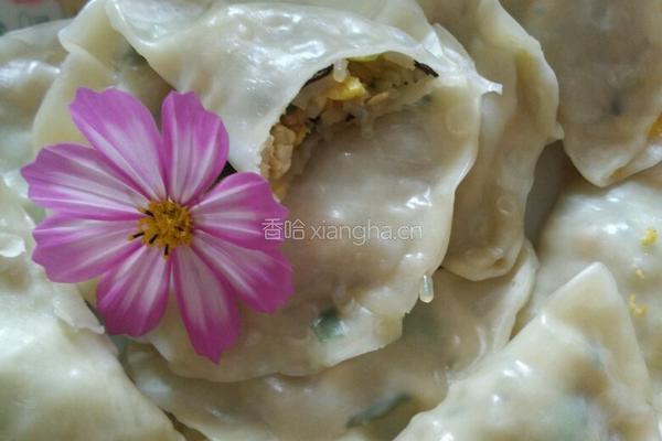 鸡蛋粉丝素饺子的做法图解8