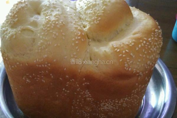 牛奶吐司的做法图解3