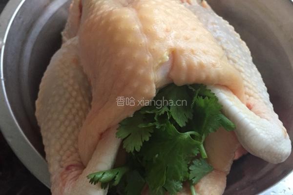 豉油鸡的做法图解5