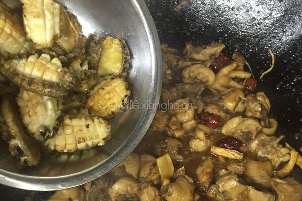 鲜鲍鱼焖煲鸡的做法图解7