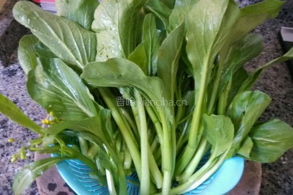 油渣炒菜心末的做法图解1