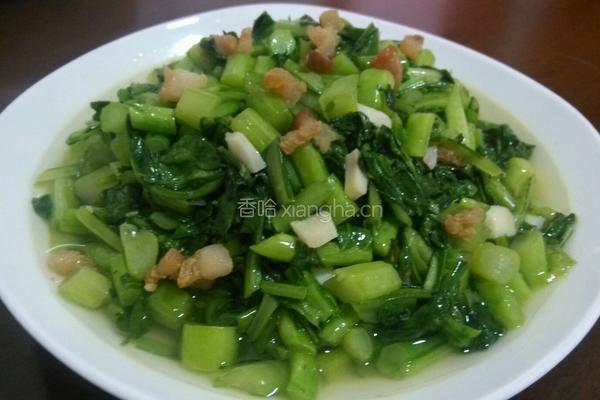 油渣炒菜心末的做法图解10