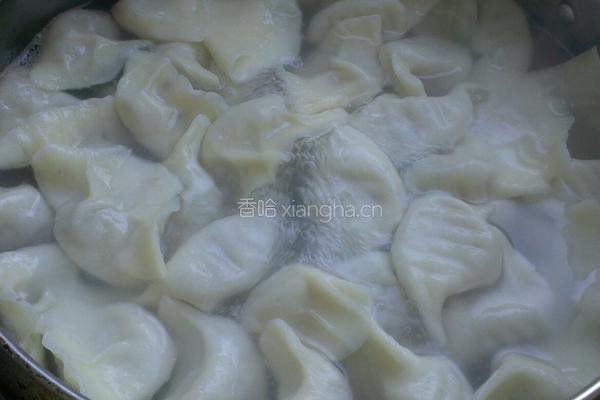 苦瓜水饺的做法图解10