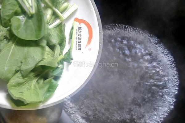 清汤肉圆的做法图解3