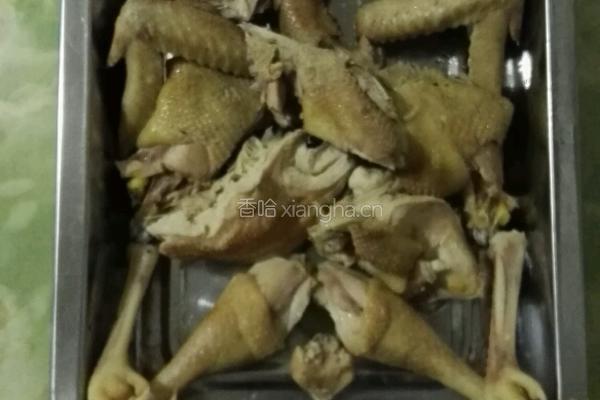 白斩芦花鸡的做法图解13