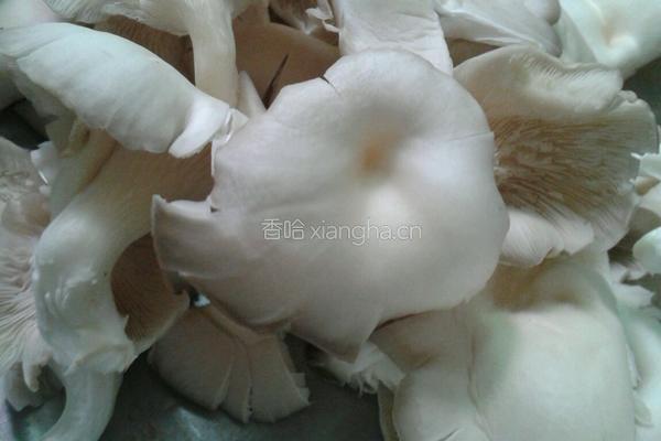 脆炸平菇的做法图解1