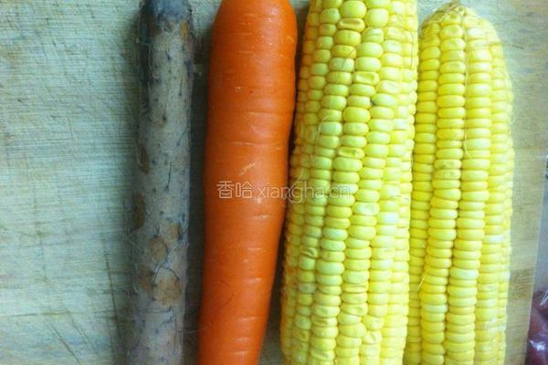 广东靓汤—玉米龙骨汤的做法图解1