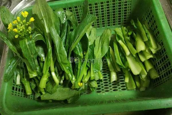 蒜香油菜芯的做法图解1