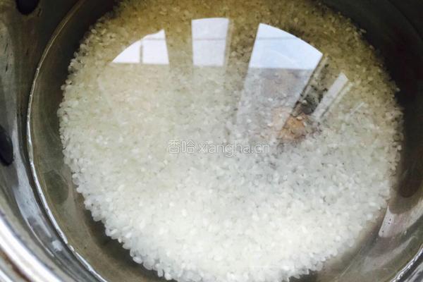 金枪鱼瑶柱菜粥的做法图解1
