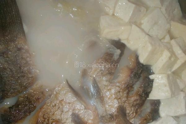 鲫鱼奶羹的做法图解9