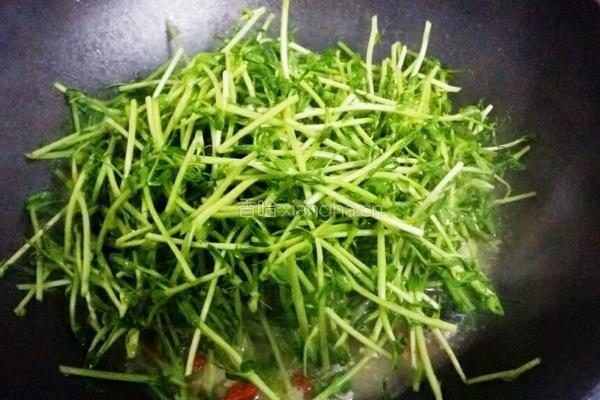 上汤豆苗的做法图解4