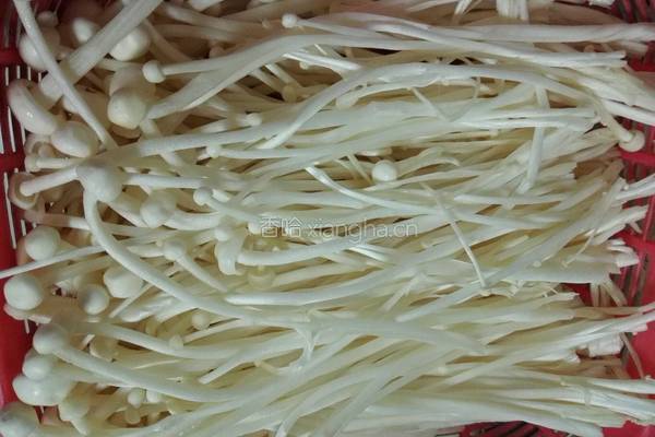 水煮肉片的做法图解5