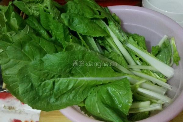 青菜豆腐的做法图解1