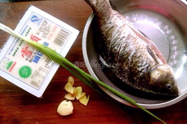 鲫鱼豆腐奶汤的做法图解1