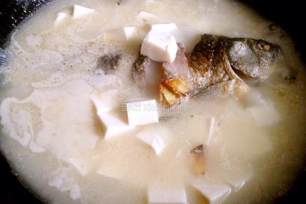 鲫鱼豆腐奶汤的做法图解8