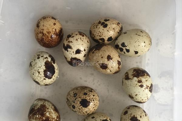 生活小窍门:巧扒鹌鹑蛋的做法图解2