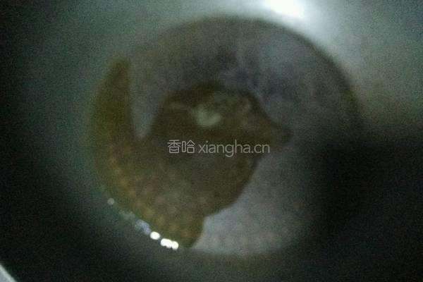 红烧豆腐的做法图解3