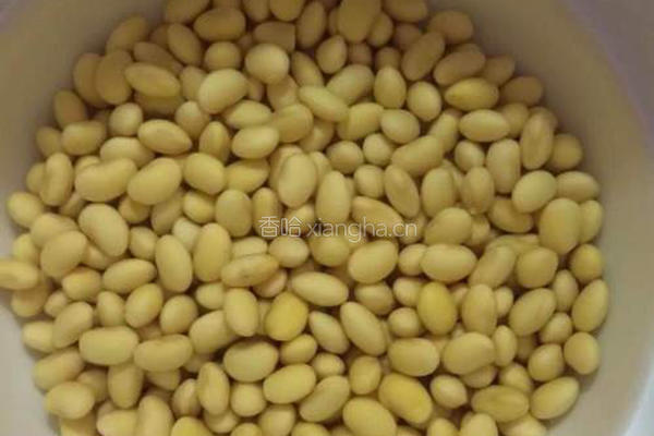干煸黄豆芽(自发豆芽)的做法图解1